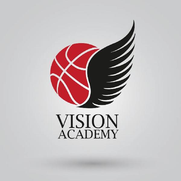 Vision Academy  Entity Avatar